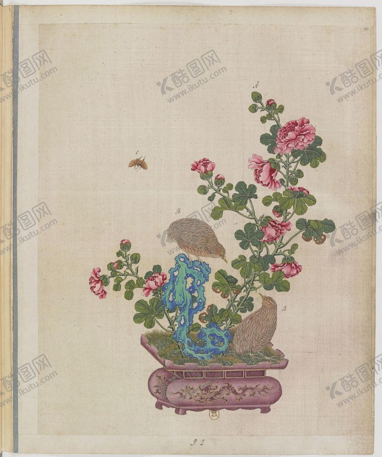 编号：50180504212138258812【酷图网】源文件下载-盆景花鸟