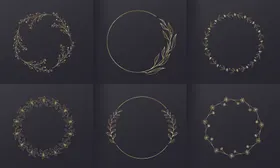 花纹牡丹郁金香插画