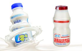 乳酸菌