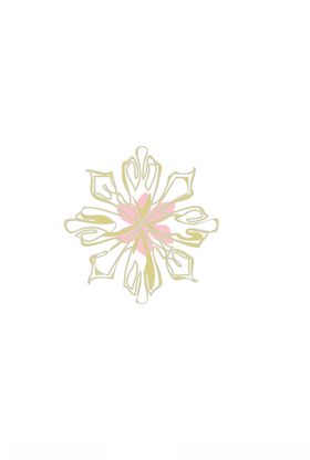 花卉组合