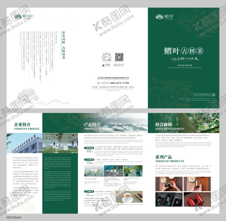 编号：61952902221948247660【酷图网】源文件下载-古树茶叶品牌宣传折页