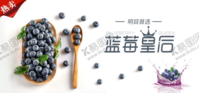 编号：69137710290747473947【酷图网】源文件下载-蓝莓