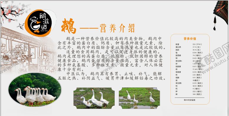 编号：61660107040038193623【酷图网】源文件下载-鹅营养价值