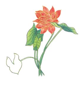 百花争艳国画工笔画月季水墨荷