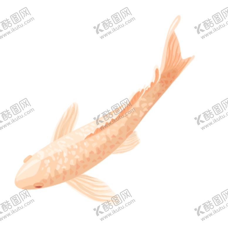 编号：28639609251046245492【酷图网】源文件下载-鲤鱼插画图案