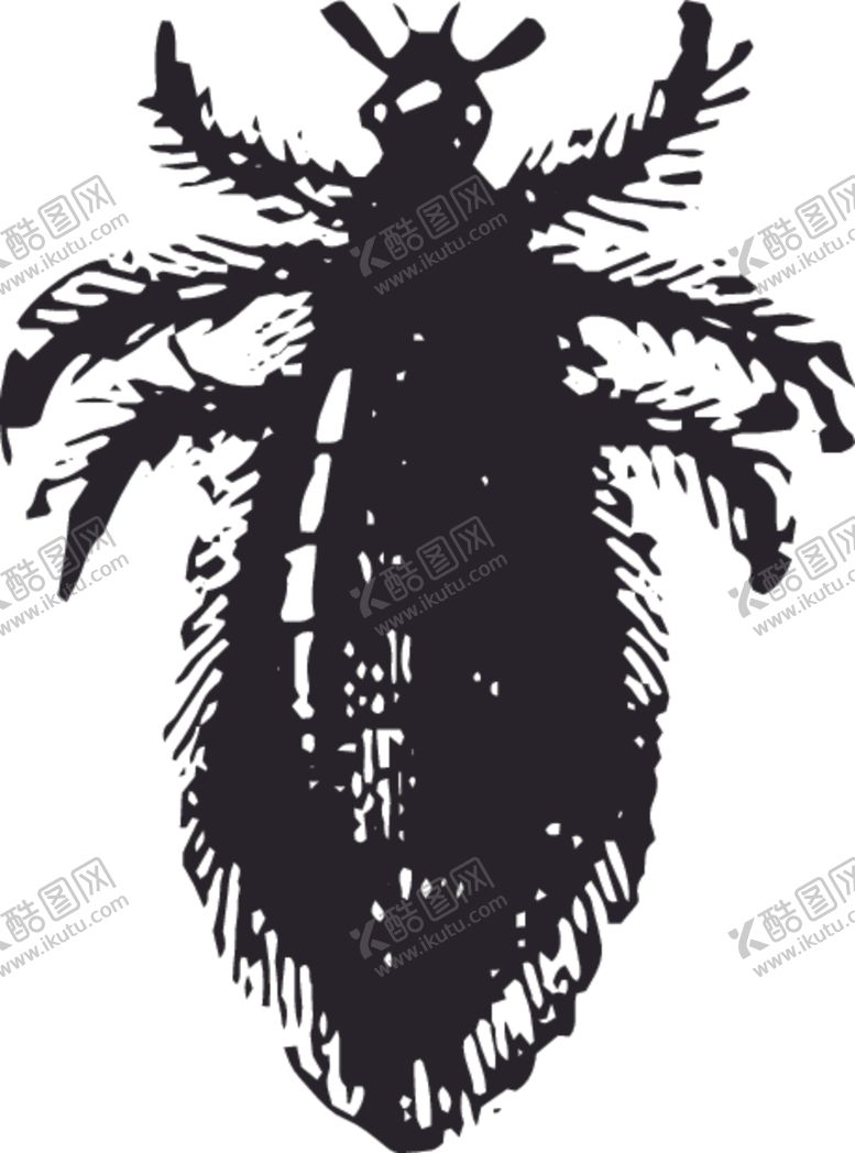 编号：61805510130217362333【酷图网】源文件下载-自然昆虫标本插画