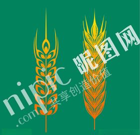 矢量麦穗
