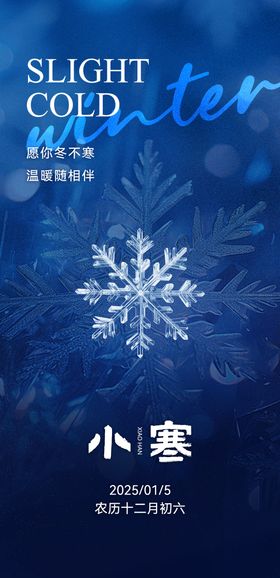 二十四节气小寒简约海报雪花蓝色