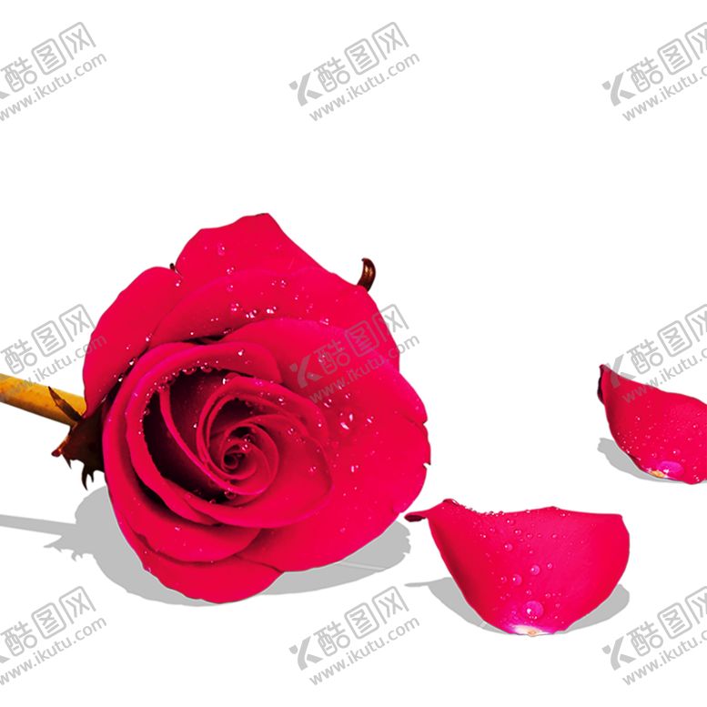 编号：33028010190019495455【酷图网】源文件下载-浪漫素材