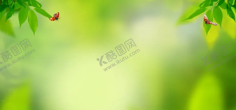 编号：57034307031728035509【酷图网】源文件下载-banner背景