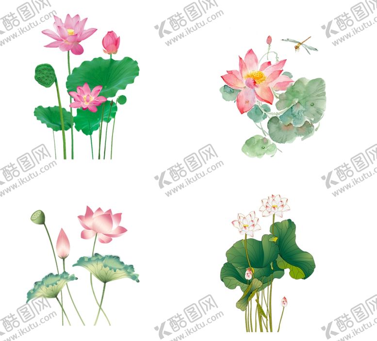 编号：10111812082200398250【酷图网】源文件下载-荷花
