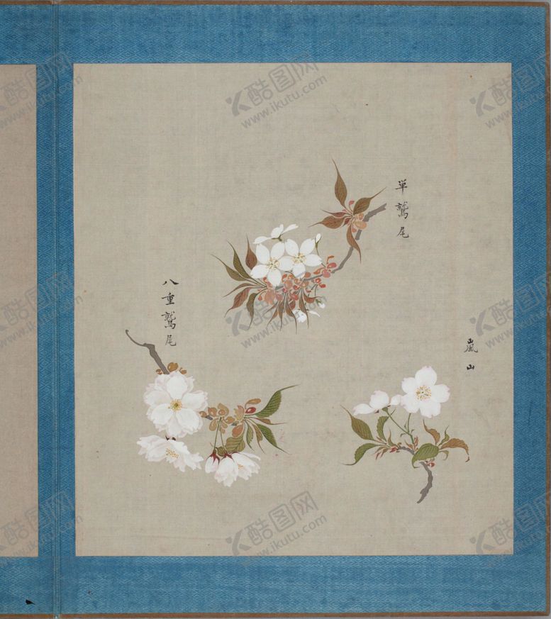 编号：17927603291919113357【酷图网】源文件下载-樱花