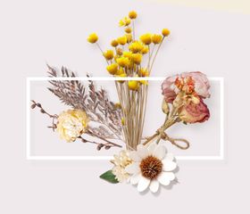 插花干花家居菊花