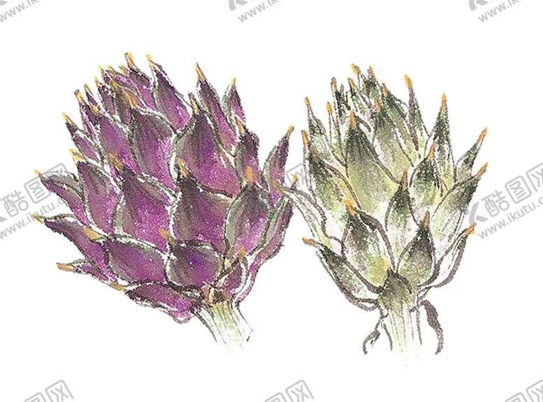 编号：55293210312351003599【酷图网】源文件下载-绿色装饰