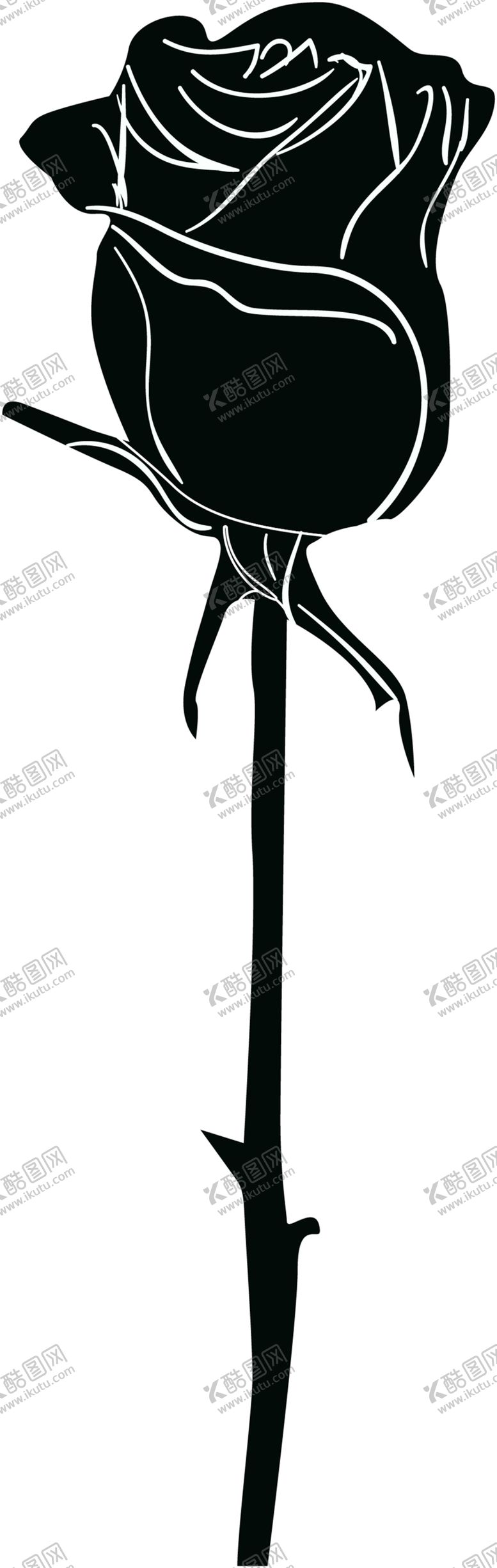 编号：17931006270511289749【酷图网】源文件下载-花素材