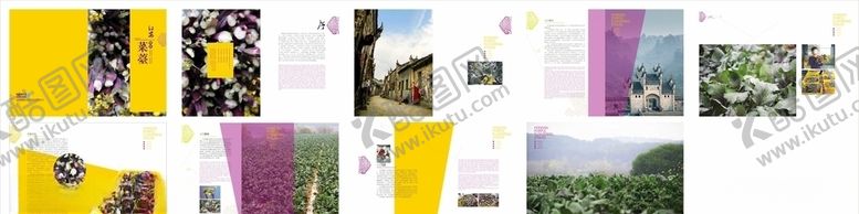 编号：53426407090733452025【酷图网】源文件下载-洪山菜薹画册