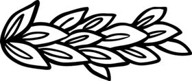 透明树叶