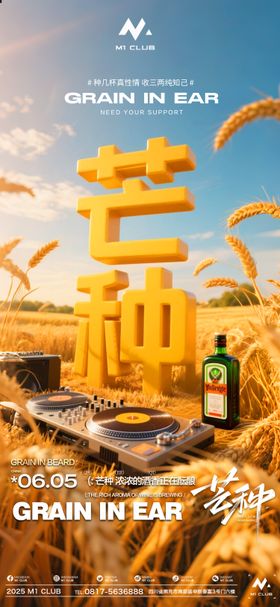 酒吧夜店KTV小厅酒吧芒种海报