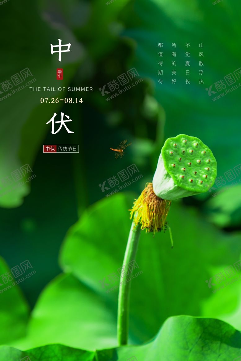 编号：89329210122314515442【酷图网】源文件下载-中伏海报