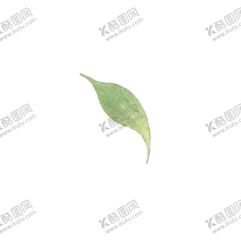 编号：48336402060829135262【酷图网】源文件下载-水彩树叶树枝 