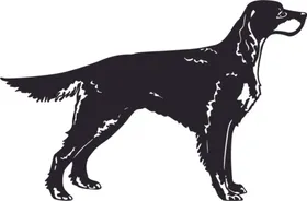 手绘狗狗犬类仔导盲犬