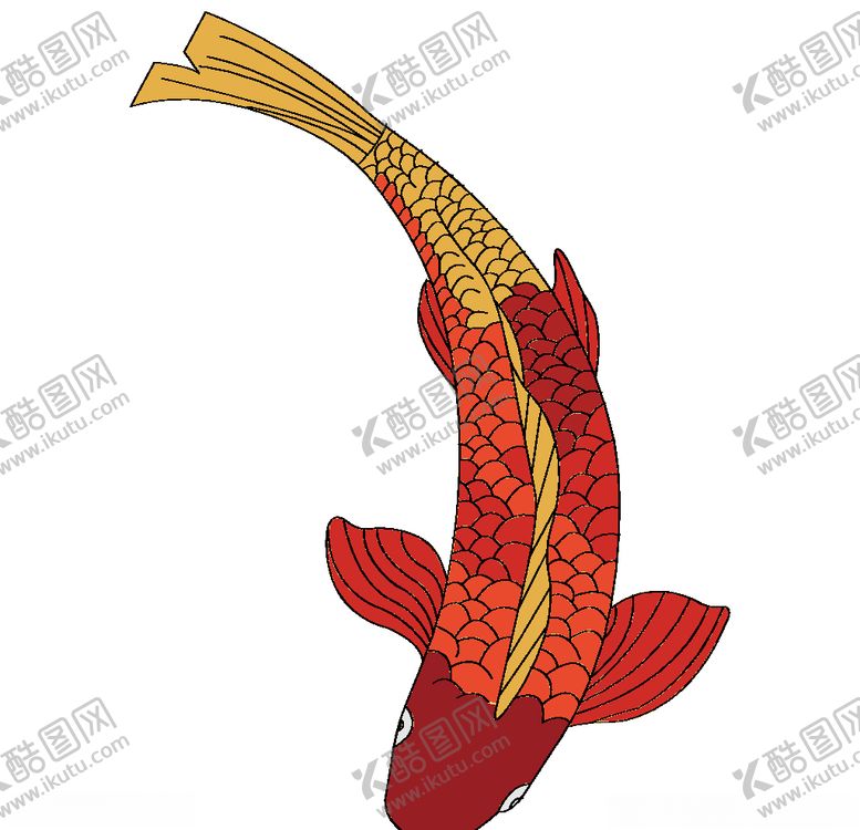 编号：38618507130008202045【酷图网】源文件下载-荷花鲤鱼矢量图