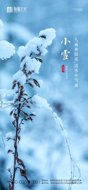 小雪节气