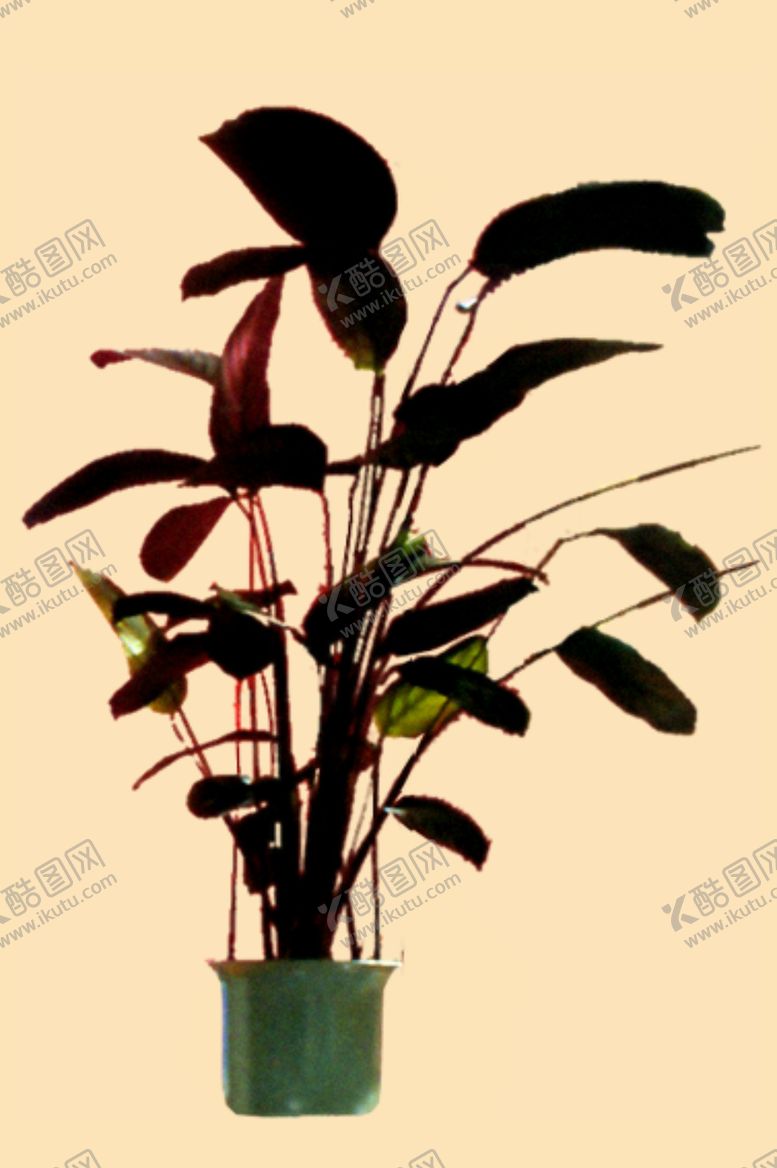 编号：82968209271853559869【酷图网】源文件下载-盆景