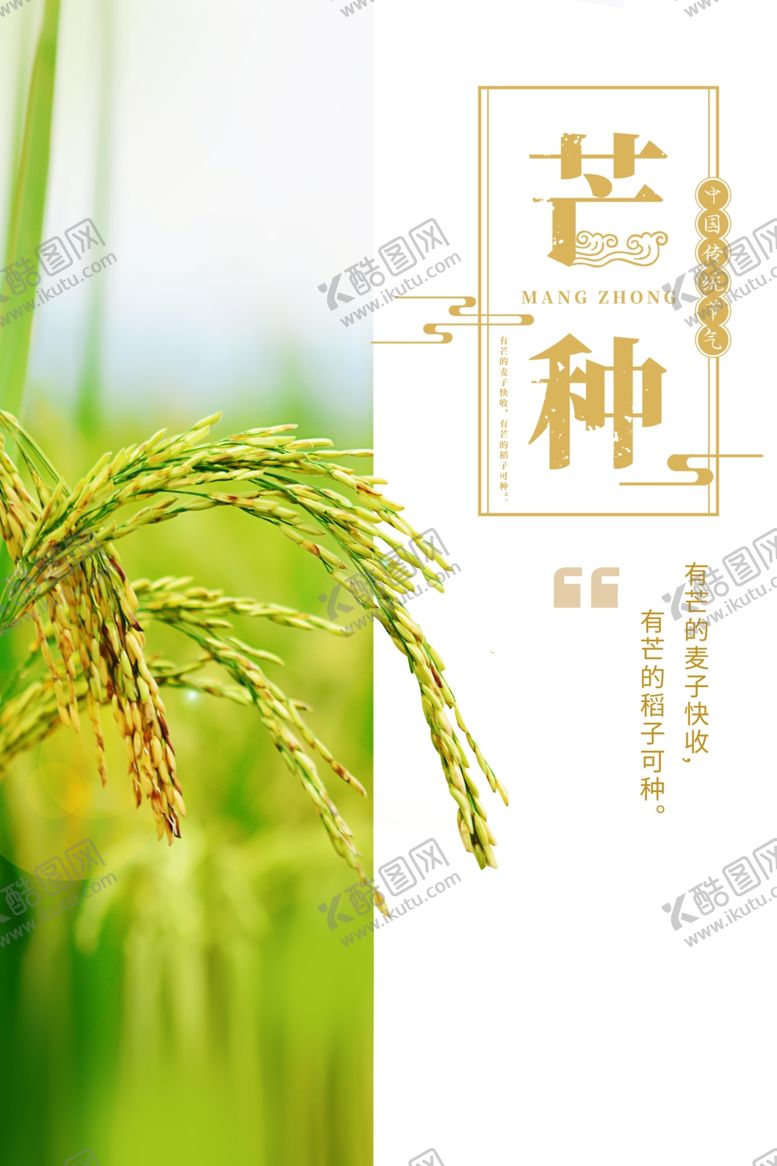 编号：61181207031800097562【酷图网】源文件下载-芒种