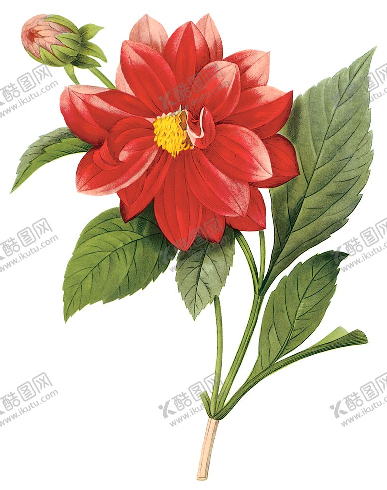 编号：69864207061213453246【酷图网】源文件下载-植物花卉油画装饰画
