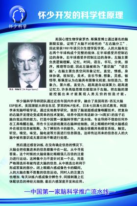 怀少大脑