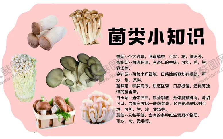 编号：08736209291307401245【酷图网】源文件下载-菌菇 菌类小知识