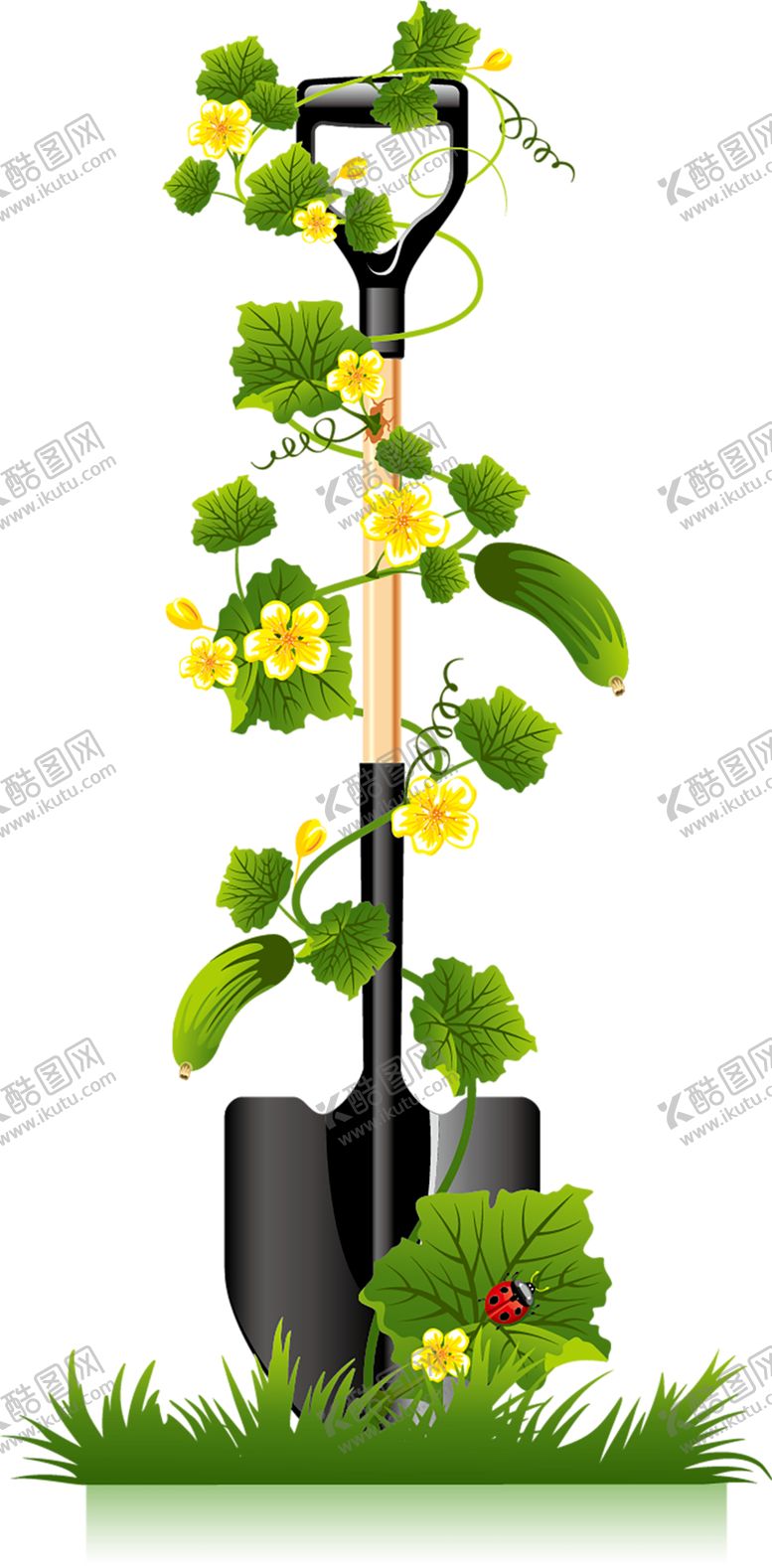 编号：66000209180018137549【酷图网】源文件下载-鲜花素材