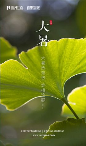 大暑节气海报