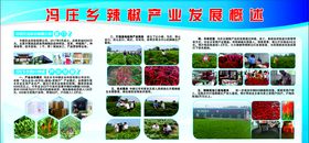 辣椒产业发展