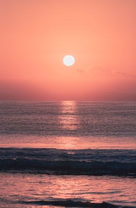 大海树木夕阳风光