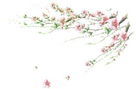 传统中国风古风装饰元素