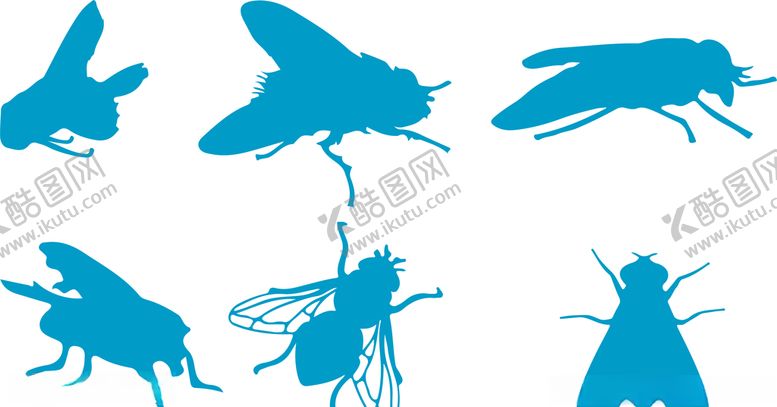 编号：88594509220426398797【酷图网】源文件下载-苍蝇素材