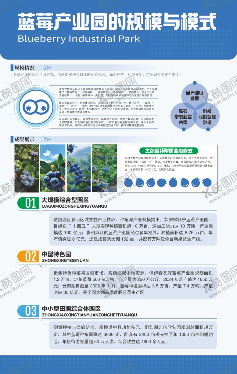 编号：51897104261859345741【酷图网】源文件下载-蓝莓产业园模式宣传海报
