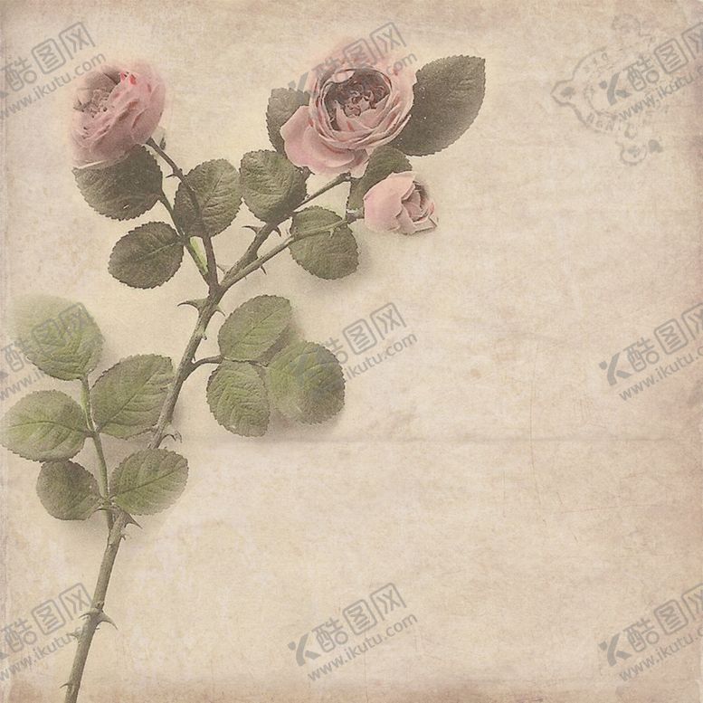 编号：31400009261613514190【酷图网】源文件下载-复古田园风花纹背景