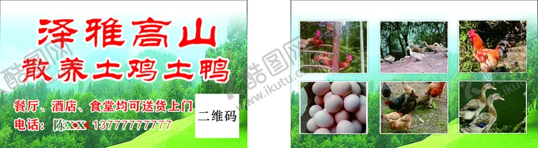 编号：32122502050402573235【酷图网】源文件下载-禽类名片