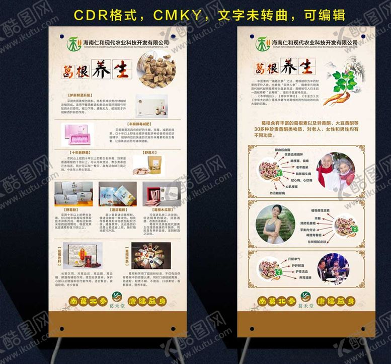 编号：77068510231918404036【酷图网】源文件下载-葛根养生