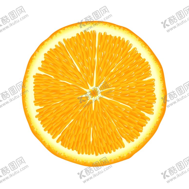 编号：59133107140225102999【酷图网】源文件下载-橘子片素材