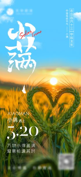 520小满节气海报