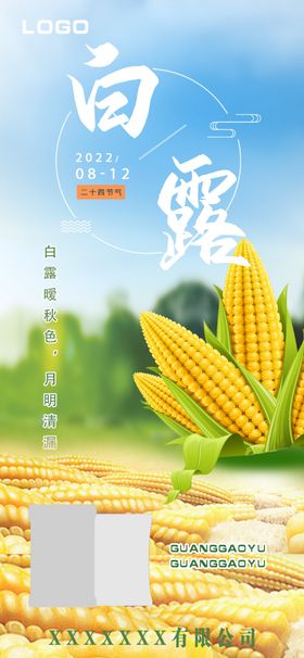 白露海报节气玉米节气