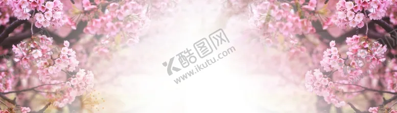 编号：67147806250959009181【酷图网】源文件下载-春天海报背景