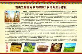藏式合作社花边图片展板