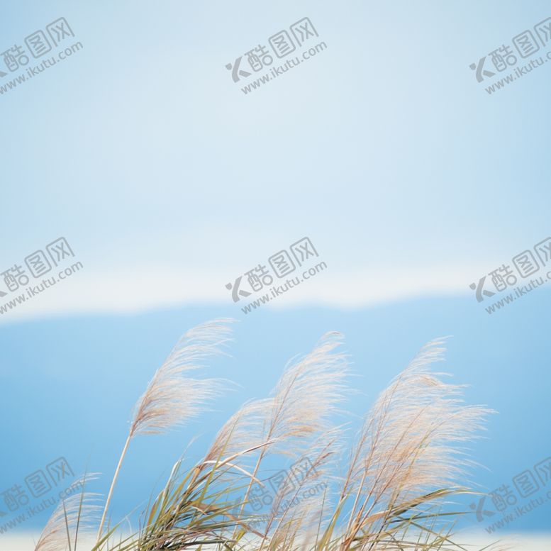 编号：20809009250059387314【酷图网】源文件下载-处暑海报处暑素材节气海报