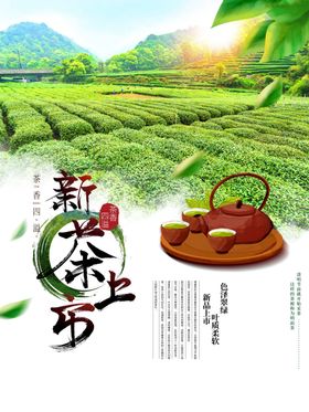 春茶上市