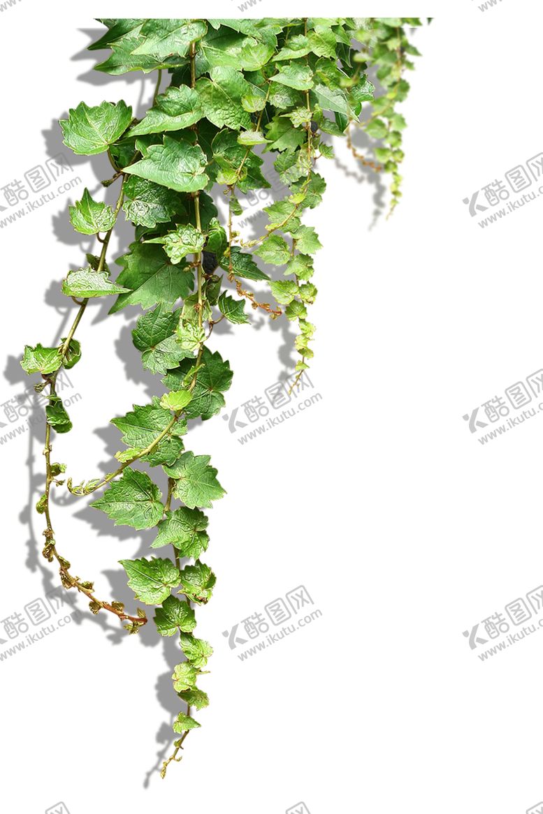 编号：37164105180022201566【酷图网】源文件下载-装饰素材